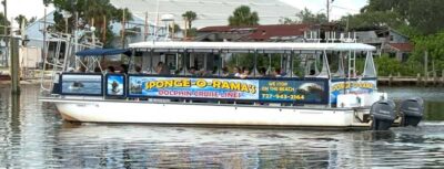 spongeorama cruise lines